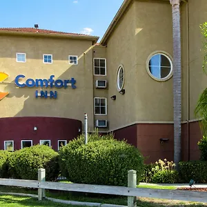 Comfort Stockton Airport Inn